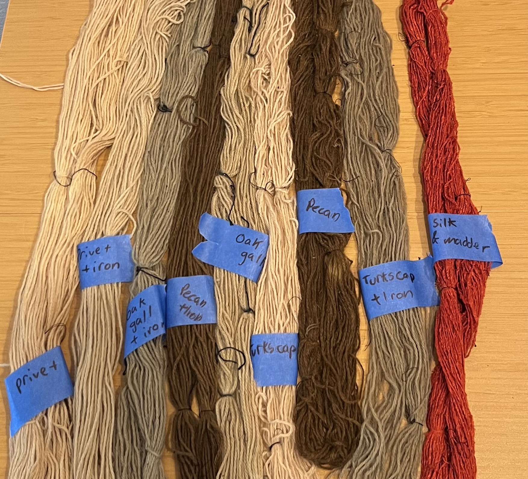 Photo of a lineup of naturally dyed yarn, mostly neutrals with one bright red.
