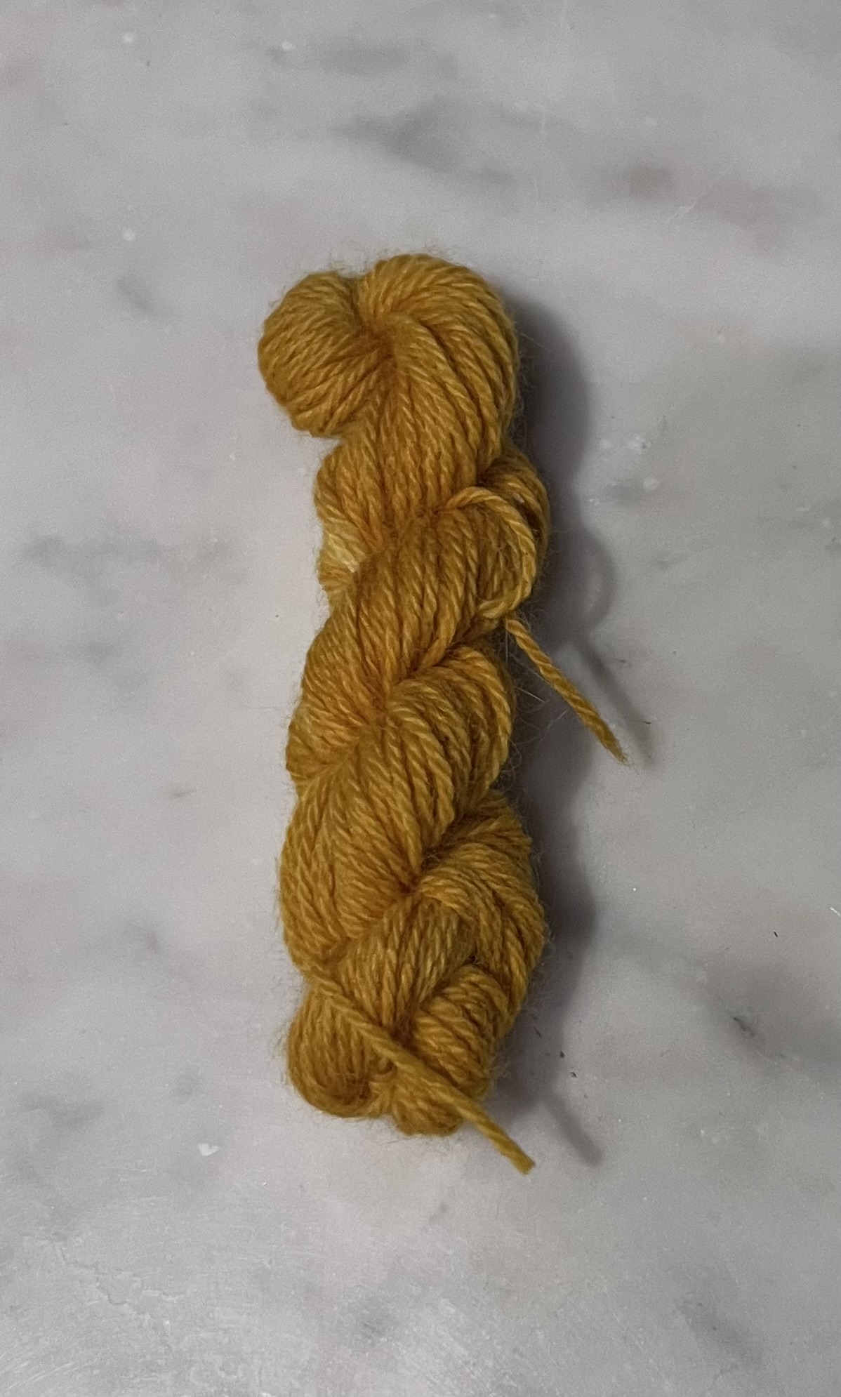 Yellow onion skin dye on wool yarn base.