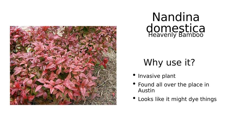 Slide 2