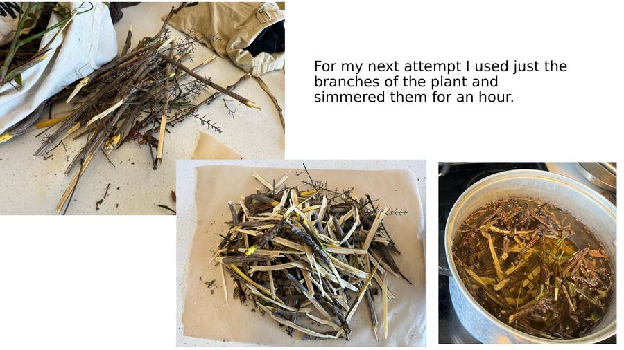 Slide 6