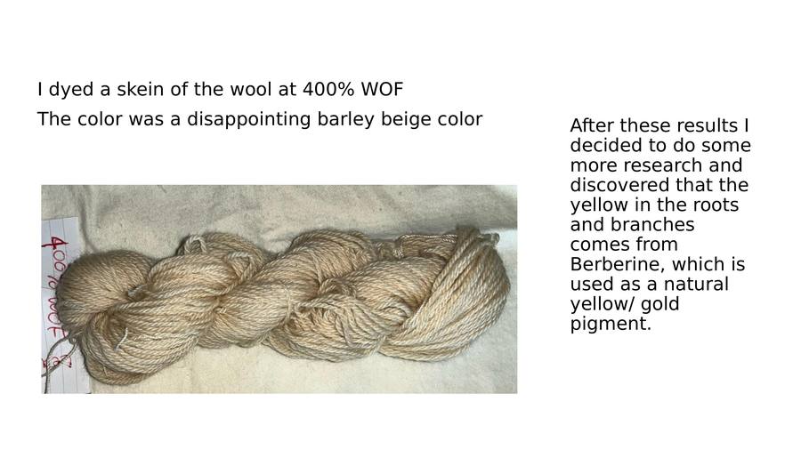 Slide 7