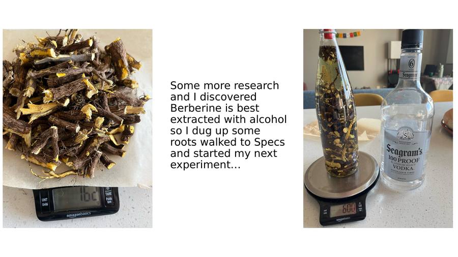 Slide 8