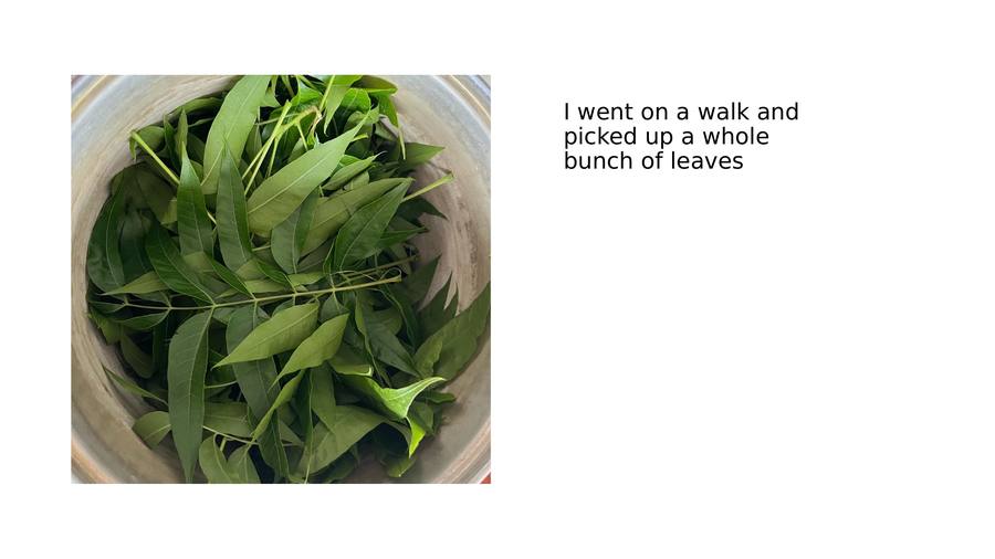 Slide 15