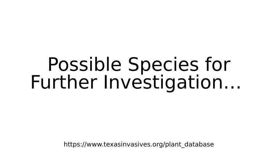 Slide 21