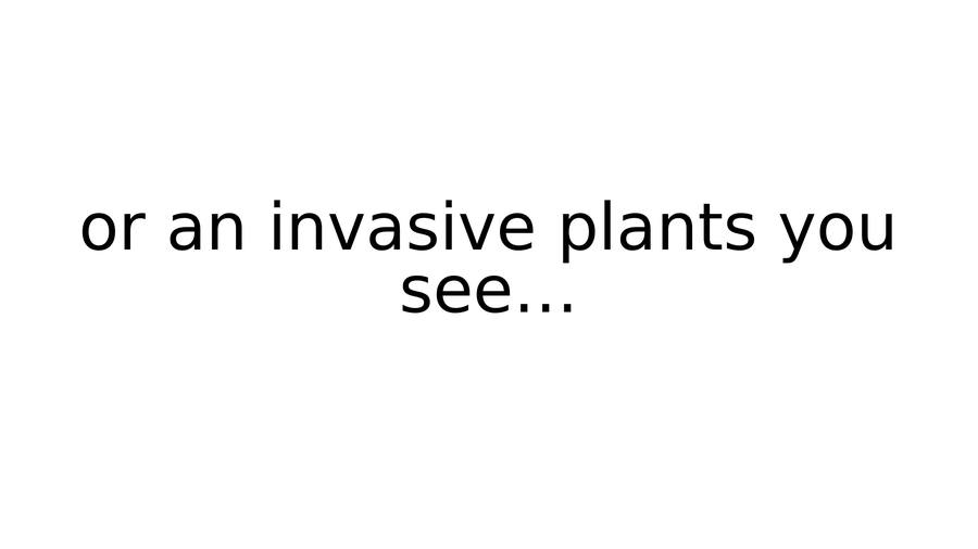Slide 24